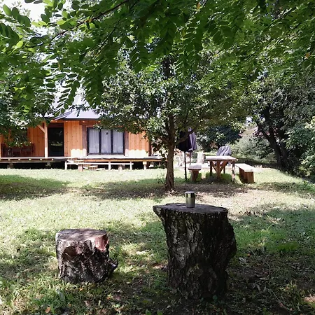 Nica Wood Sremska Kamenica